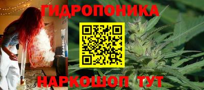 твердый Можга